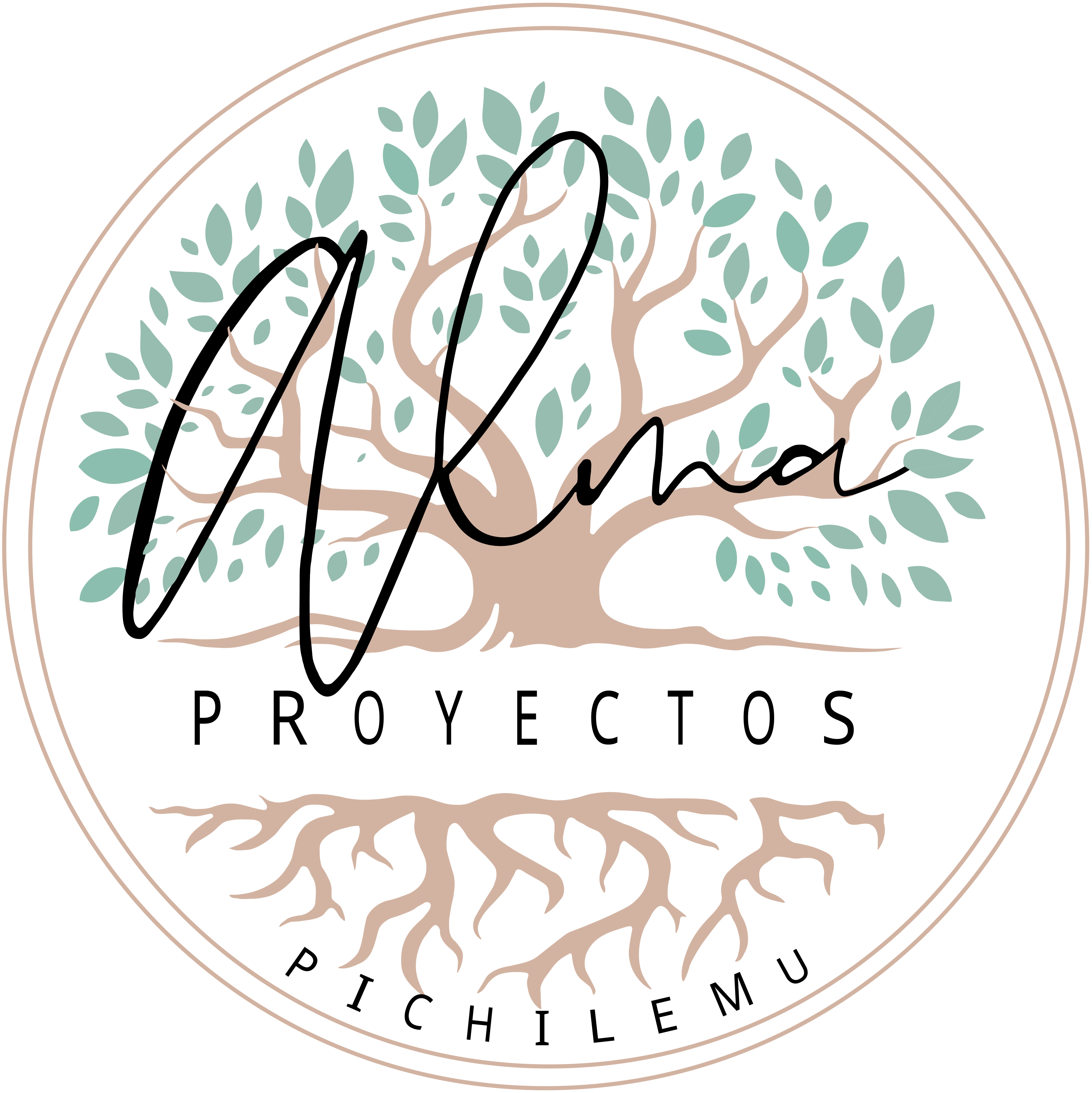 Alma Proyectos Logo